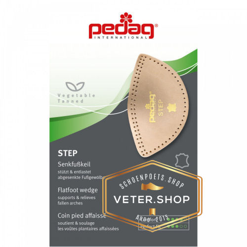 Pedag 166