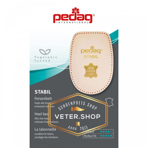 Pedag 169