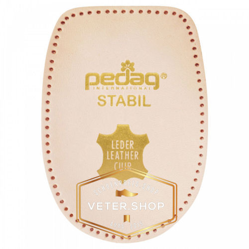 Pedag 169