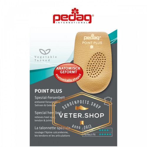 Pedag 201