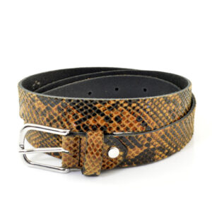 845 - Python Bruin