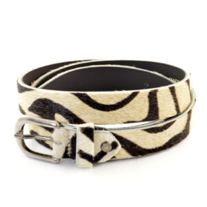 842 - Zebra